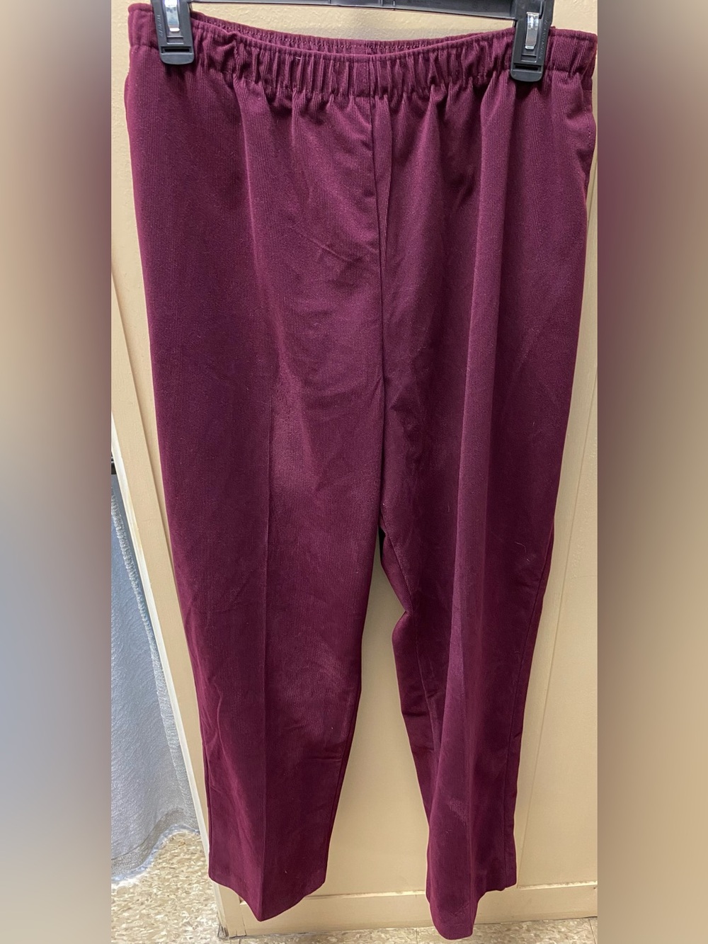 Alia Wine-Burgundy Elastic Waist Trousers